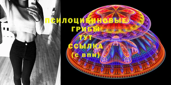 ECSTASY Бородино