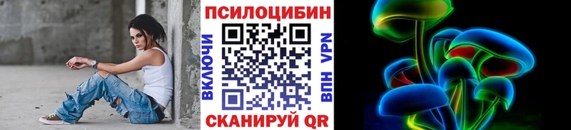 Купить  Оханск  Псилоцибиновые грибы Psilocybe 